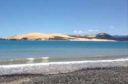 hokianga